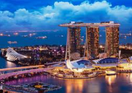 摇钱树捕鱼下载免费版